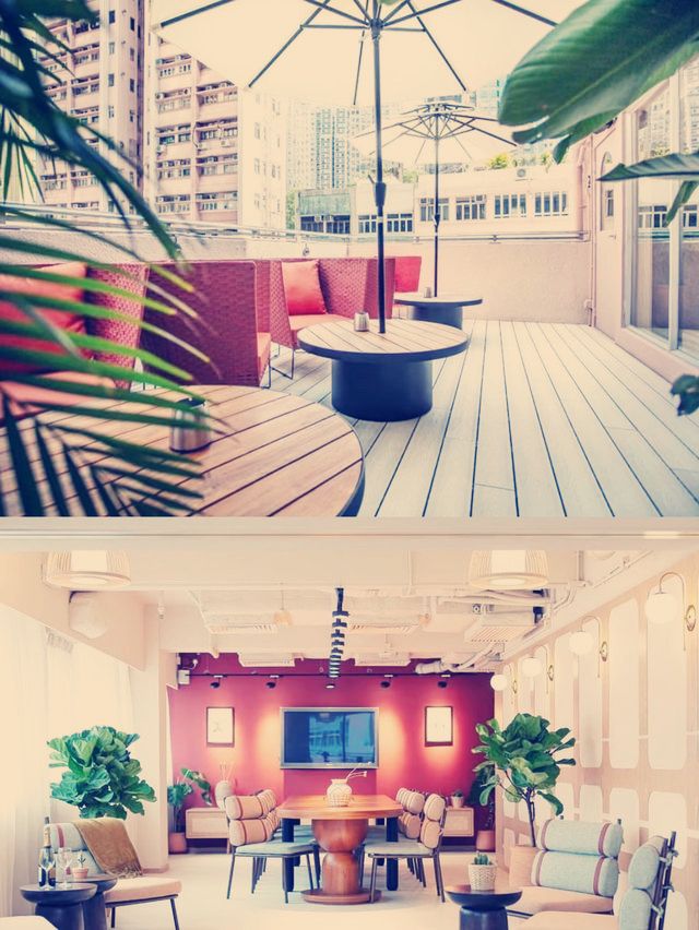 毛孩也能住的奢華享受！香港翡格酒店寵物友好體驗】**  