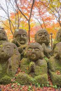 5 Hidden Kyoto Gems You Don't Want to Miss! 🌺