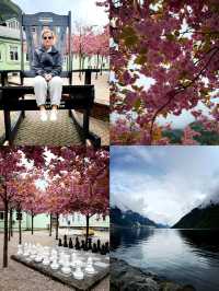 Hardangerfjord - Roadtrip 