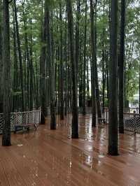 去武漢瑪雅水上樂園睇呢一篇就夠晒。。