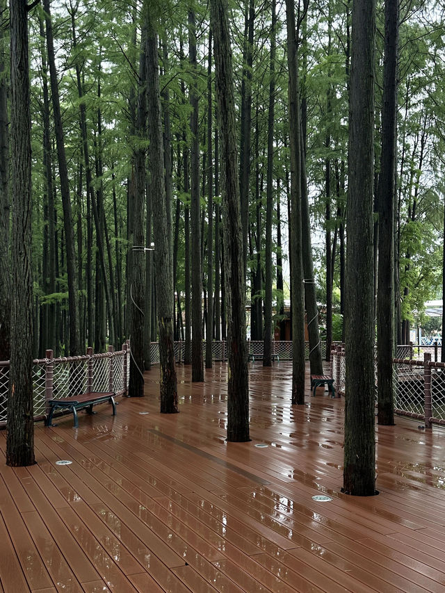 去武漢瑪雅水上樂園睇呢一篇就夠晒。。