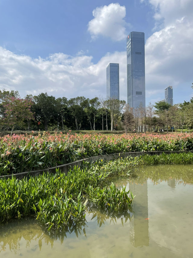 Drone Delivery In The Park, Experience The Future In Shenzhen. It’s Amazing 