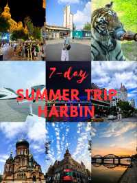 7- day Summer Trip to Harbin 