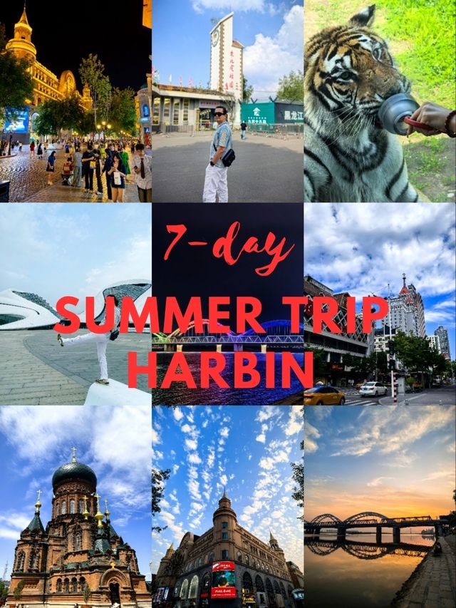 7- day Summer Trip to Harbin 