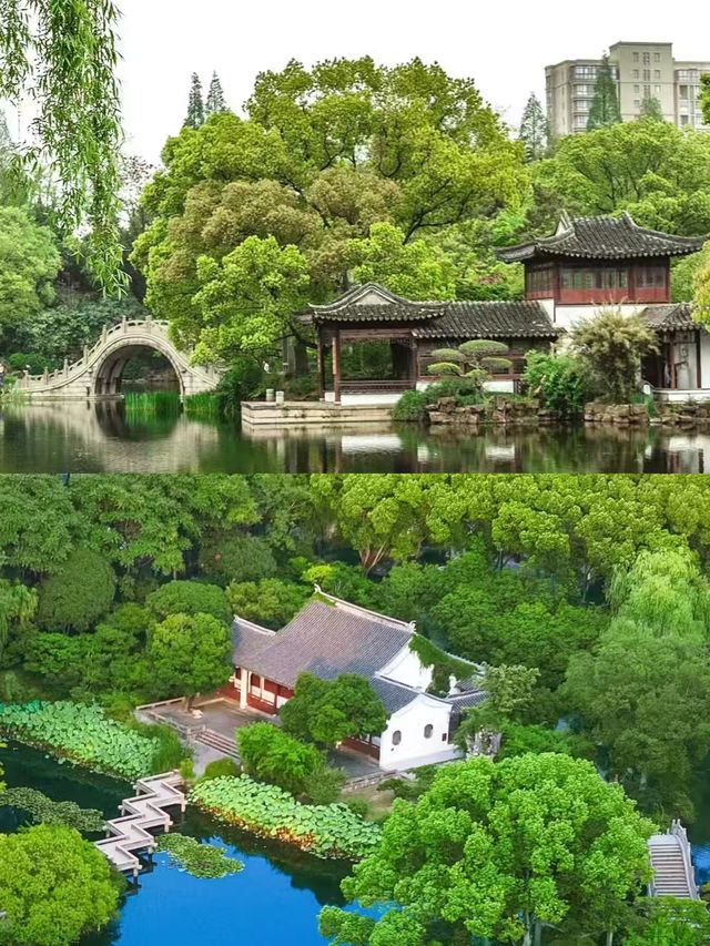 太倉已回，能勸一個是一個。