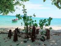 The Gentle Rhythm of Rawai: A Sanctuary of Slowness in Phuket