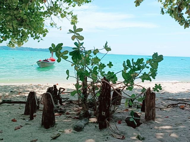 The Gentle Rhythm of Rawai: A Sanctuary of Slowness in Phuket