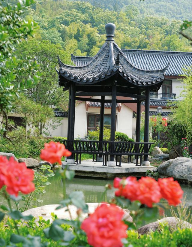 金寨深山現民宿，傳統徽派遇現代客，遊客評價褒貶不一？