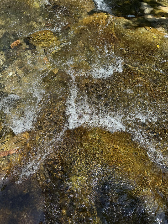 富陽大葛村人少景美溯溪玩水好去處！