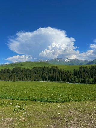 Ultra-Detailed Travel Guide to Nileke, Xinjiang