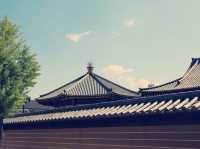 大阪隱世綠洲！天王寺公園沉浸式體驗報告】**  
