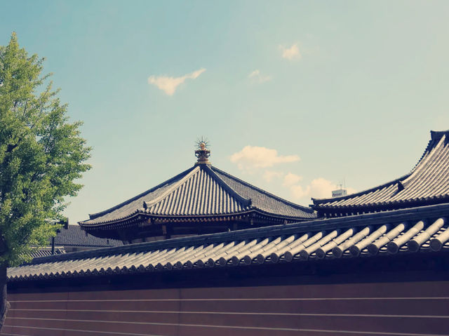 大阪隱世綠洲！天王寺公園沉浸式體驗報告】**  