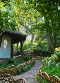 清風明月本無價，近水遠山皆有情。
【姑蘇簷下·滄浪夜泊】——枕千年園林入夢，宿一窗江南煙雨