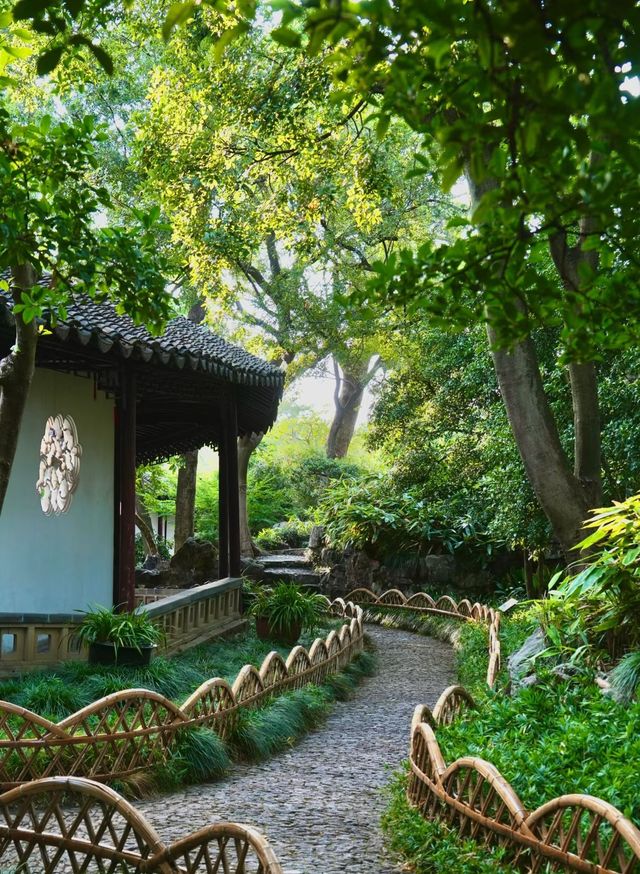 清風明月本無價，近水遠山皆有情。
【姑蘇簷下·滄浪夜泊】——枕千年園林入夢，宿一窗江南煙雨