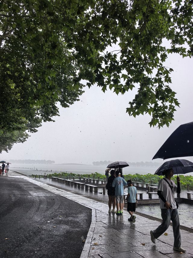 暴雨之後出太陽，西湖嘅雲好唔真實