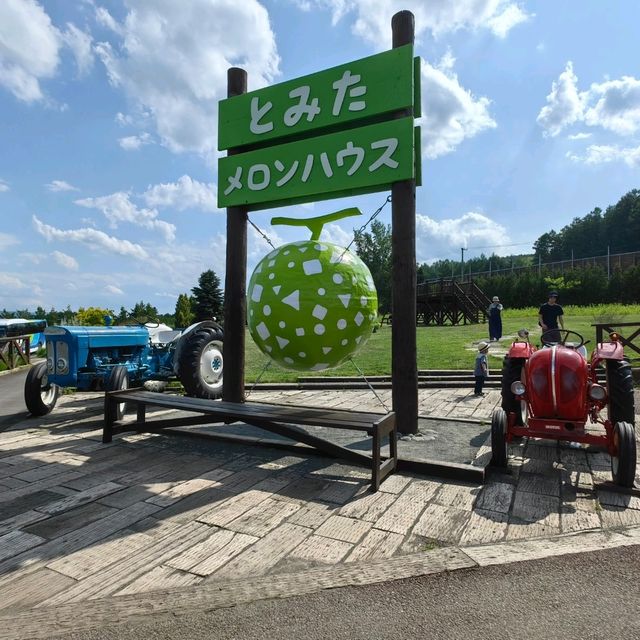 北海道哈密瓜之顛