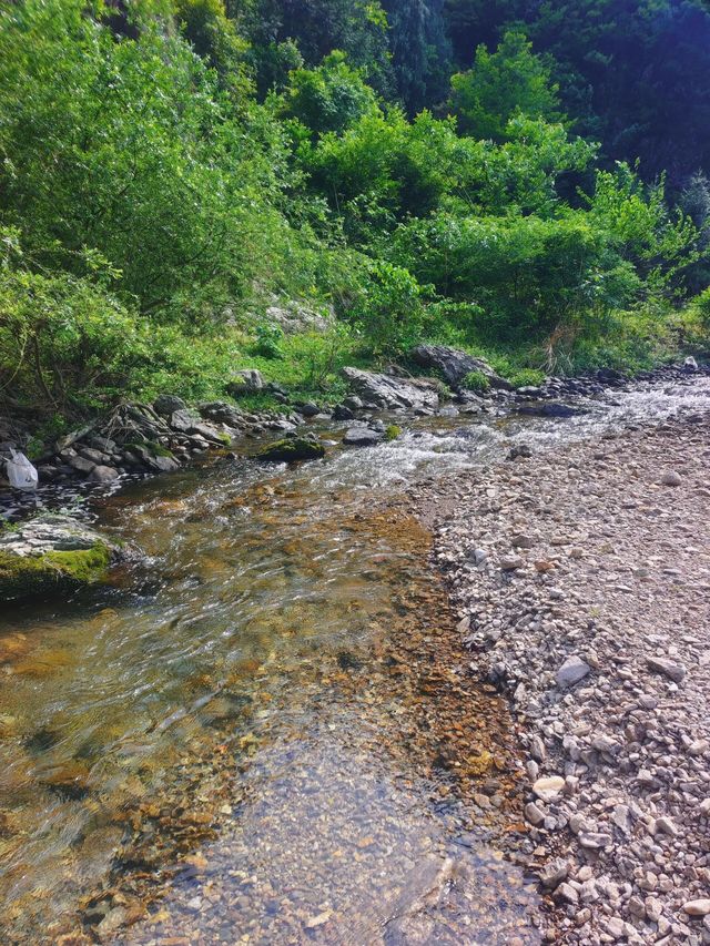 發現仙居絕美水潭！淡竹平替人少景靚夏日玩水必mark