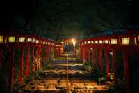 Dreamy Tanabata at Kifune Shrine: Romance Under Lanterns