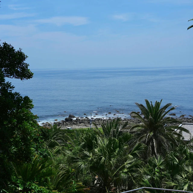 【東京周邊離島！初島的檸檬黃夏天太治愈啦～】
