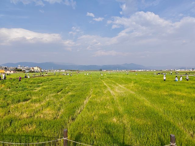 大理必去打卡嘅喜洲古鎮一日遊！騎住電動車，穿梭喺洱海邊嘅田園風光入面，呢份文藝又寫意嘅行程安排收好喇