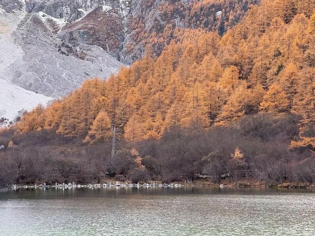稻城亞丁「從你的全世界路過|旅遊攻略
