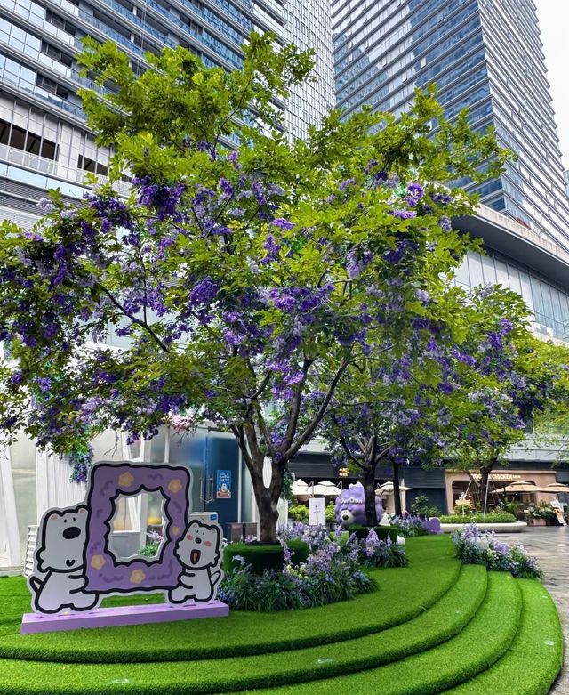 闖入深圳莫奈花園邂逅紫色花海與法式浪漫