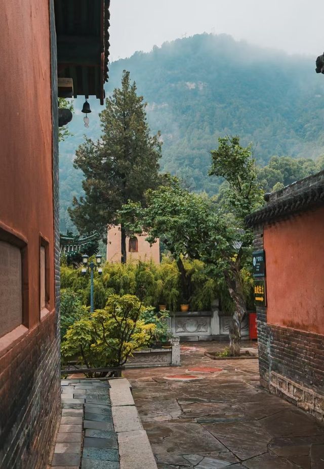玄中寺：淨土祖庭的千年回響