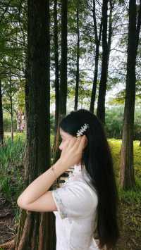 普洱五湖濕地公園｜漫步吸氧天堂，拍照散步絕了！