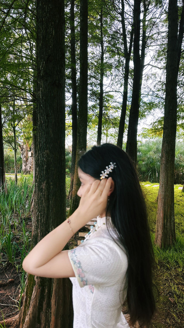 普洱五湖濕地公園｜漫步吸氧天堂，拍照散步絕了！
