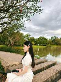 普洱五湖濕地公園｜漫步吸氧天堂，拍照散步絕了！