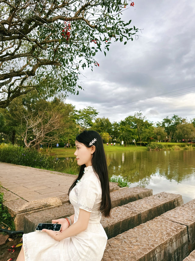 普洱五湖濕地公園｜漫步吸氧天堂，拍照散步絕了！