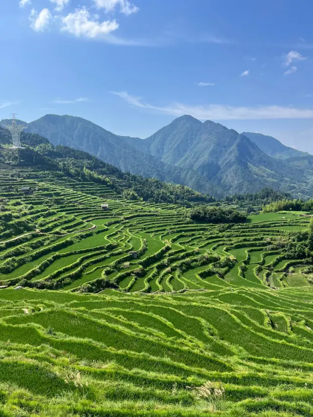 Lishui Yunhe Terraces｜Thousand-Layer Heavenly Ladder Winding Above the Clouds, Sunrise Sea of Clouds Spreading Over Mirror-Like Fields