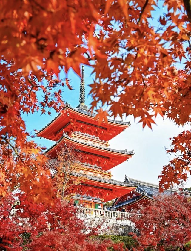 日本紅葉3大區穩妥觀賞期指南來啦