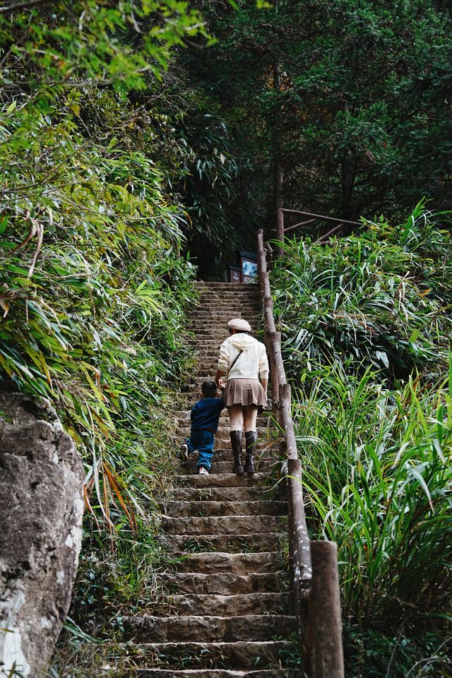 麗水景寧遊時思寺看千年古村落，雲中大漈山野徒步