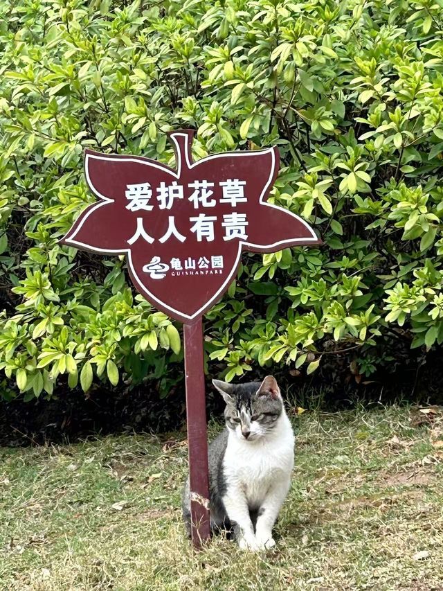 Wuhan Urban Hiking Route - Guishan Mountain Wuhan Urban Hiking Route - Guishan Mountain