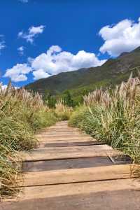 麗江日照金山婚紗照風格