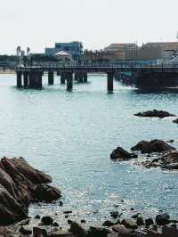 青島5日路線