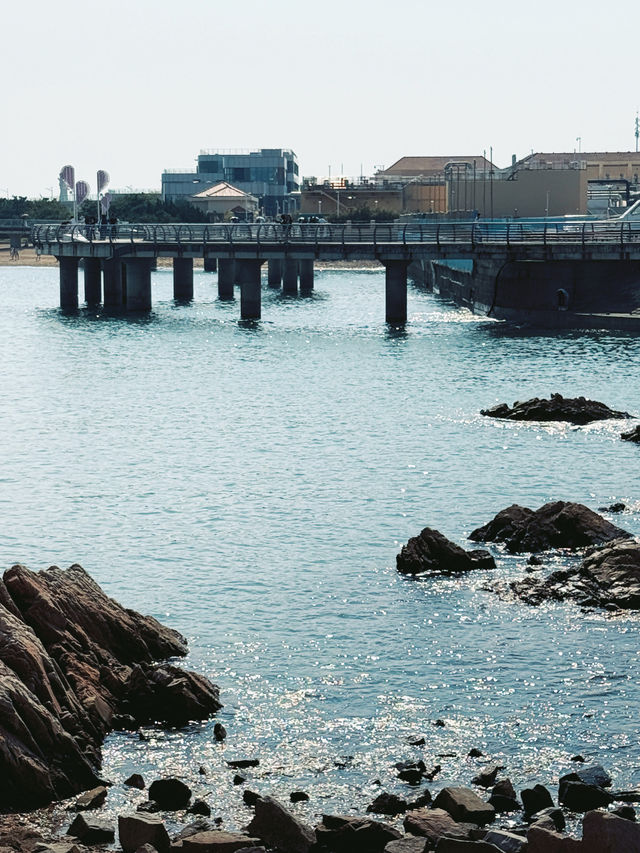 青島5日路線