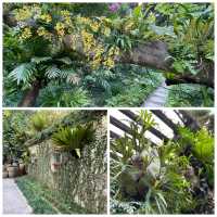 仙湖植物園:闖入都市中的綠色秘境🌿