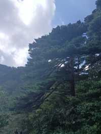 自然奇觀等你探尋---黃山