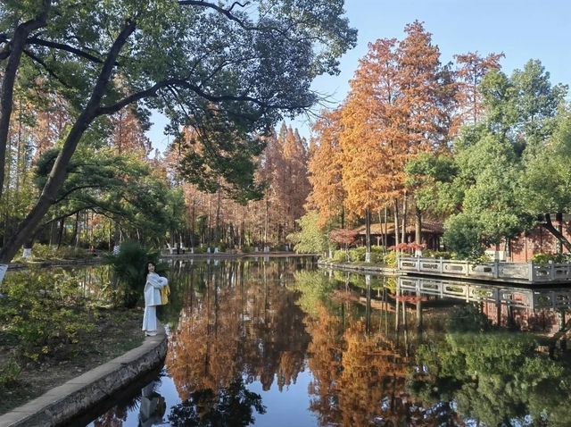 誤入童話世界，青山公園三色治癒之旅:

一、秋日必賞三絕：定格不同色系的秋景
 
1. 銀杏大道·鎏