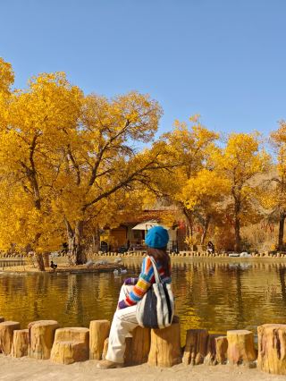 Duo Bagou Poplar Gorge in Akesai | Gansu's Hidden Water Poplar Forest