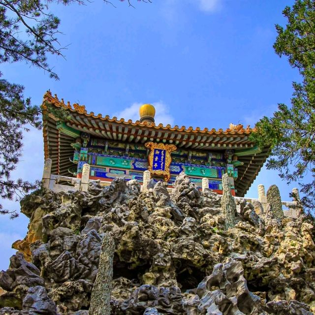 北京故宮完全攻略🏯初訪りでも安心！