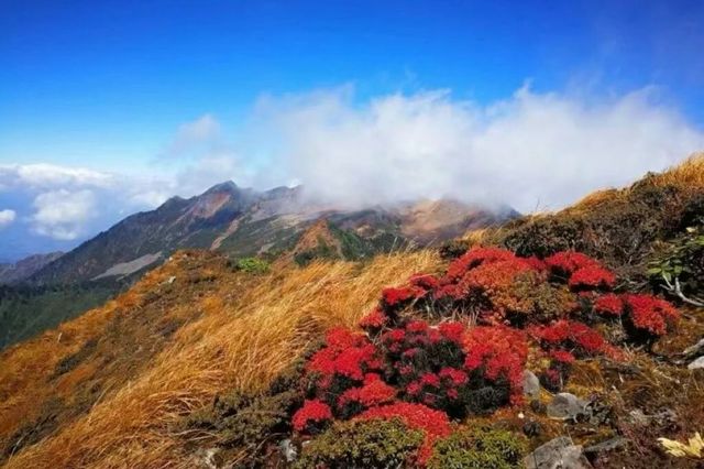 洱海秋韻：隱藏在風中的浪漫秘境