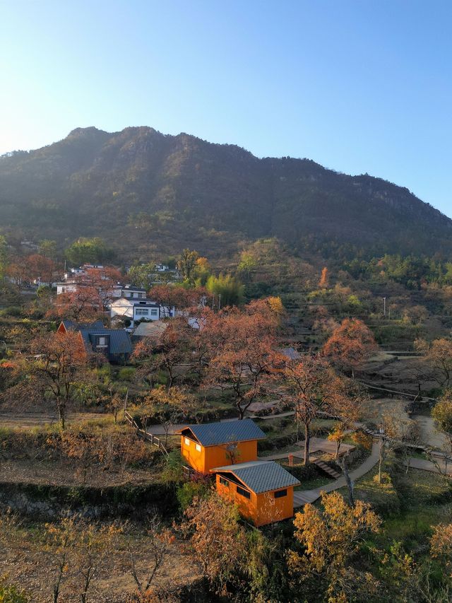武漢2h直達！闖入大別山油畫般的秋天