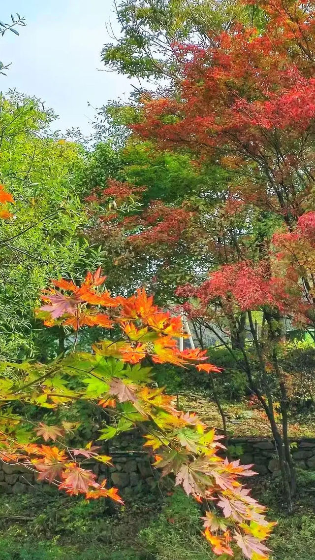 本溪老邊溝｜一腳踏進漫山紅透的童話世界