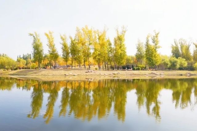 長春伊通河，藏不住的秋日童話 #長春伊通河秋季  長春伊通河，藏不住的秋日童話  家人們誰懂啊！