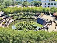 洛杉磯植物園 孔雀園 蓋蒂中心 天文台