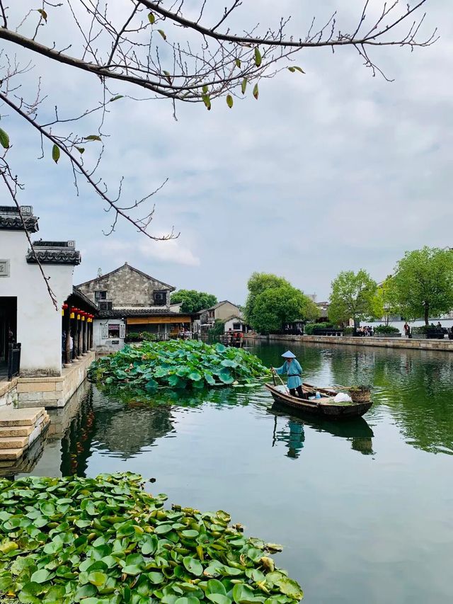 嘉善4天3晚人均2500元漫遊江南 嘉善4天3晚人均2500元漫遊江南