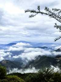 平和縣大芹山